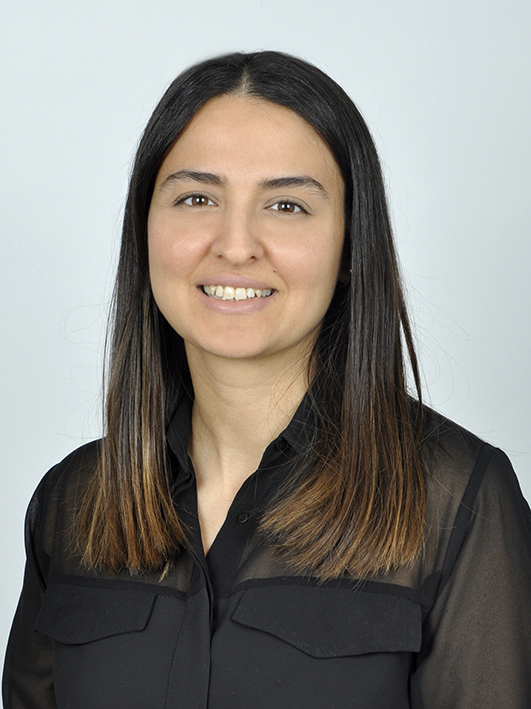 G&Uuml;L&Ccedil;İN TEKİN G&Ouml;K&Ccedil;E